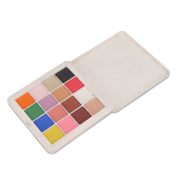 Nail Powder Professional 16 farger metallisk speileffekt neglepigmentpulver for hjemmebruk til neglesalong