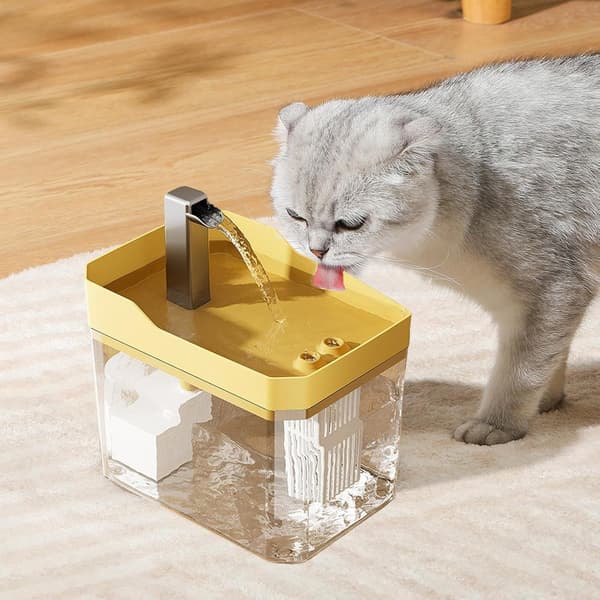 Kattedispenser | Stillegående kjæledyrfontene, innendørs og leilighet