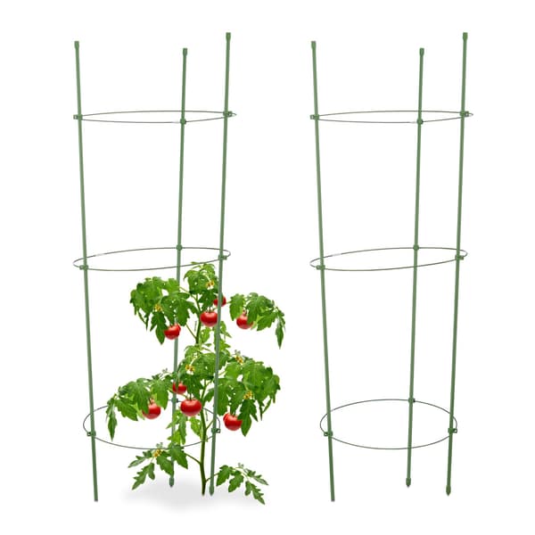 【BEMS】Tomatoes Climbing Aid Set of 2 540