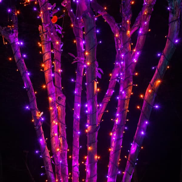 Udendørs lyskæde, 1000 LED 100 meter, Plug-in model Lilla & Orange Purple & Orange 500 LED