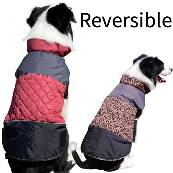 Vattentät förtjockad hundjacka, vinterkläder för husdjur, polyester, varm, röd Leopard Print 3XL-Three Spin
