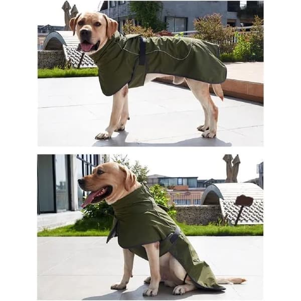 Vattentät och vindtät hundregnjacka, vinterjacka, XL