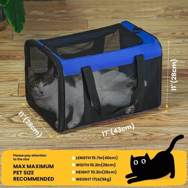 Vikbar blå kattbur, kompatibel med flygstandarder
