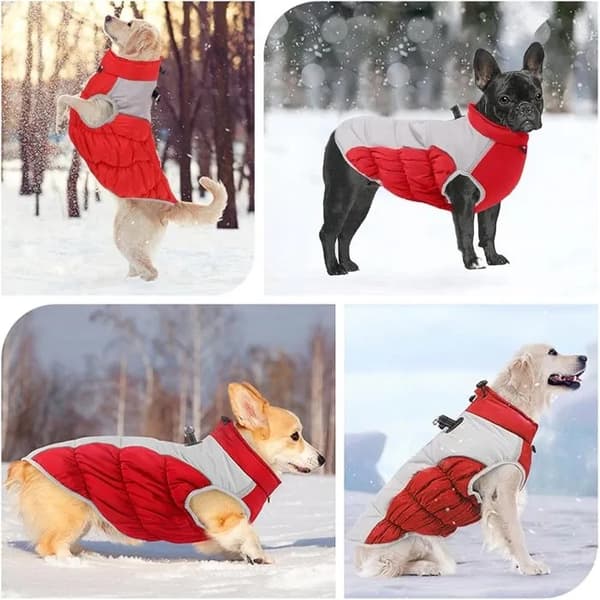 Reflekterande vintertäcke för hund, varm allvädersjacka för utomhusbruk