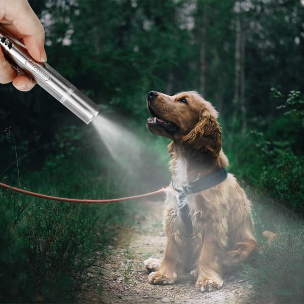 USB Genopladelig Kat Laserpointer Legetøj, 7-i-1 med 5 Mønstre, Interaktiv Kæledyrsjager til Katte Hunde