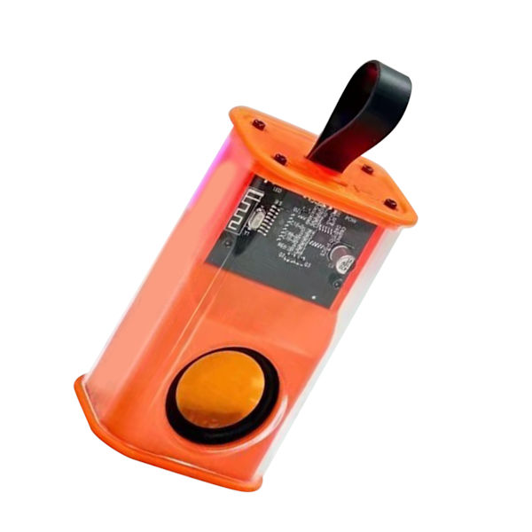 Kirkas Bluetooth kaiutin, läpinäkyvä case RGB Light Type C Kannettava langaton kaiutin silikoninauhalla Oranssin ulkomatkoille