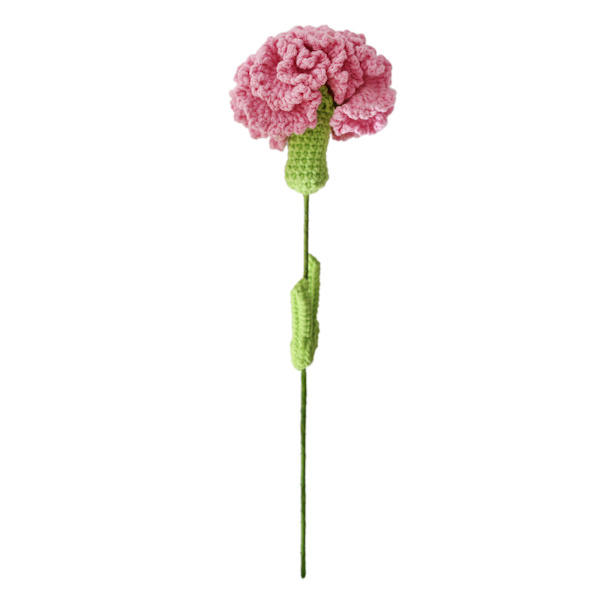 Blommor Handvävda Ull Simulering Blombukett Nejlikor Dekoration