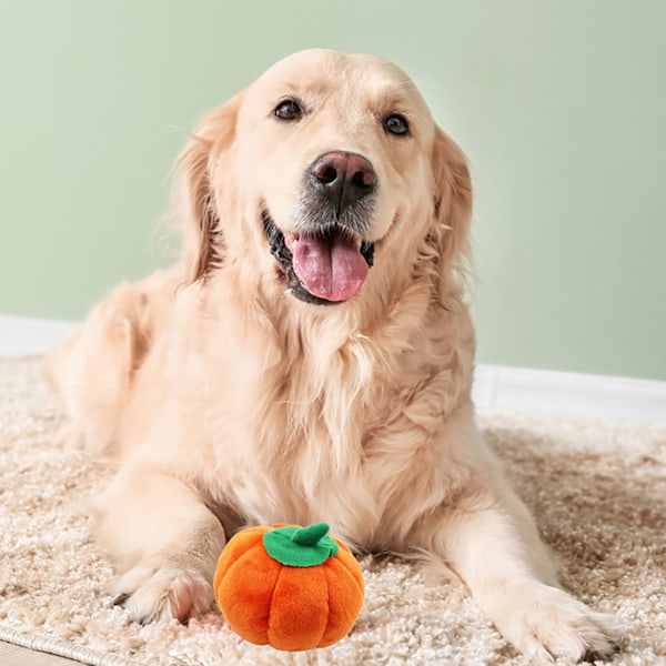 Plush Hundeleksak Söt Pumpaform Pipande Bittålig Fylld Hundeplushleksak för Tandgnissling Lindra Tråkighet