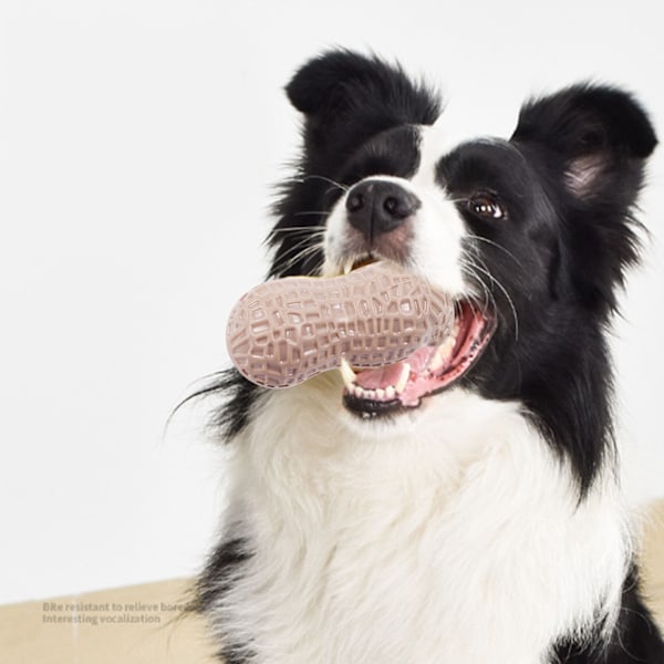 Hund Pipsleksak Tandgnisslande Bittålig Simulerad Jordnötsform Valp Tuggleksak för Teddy Kaffe Färg