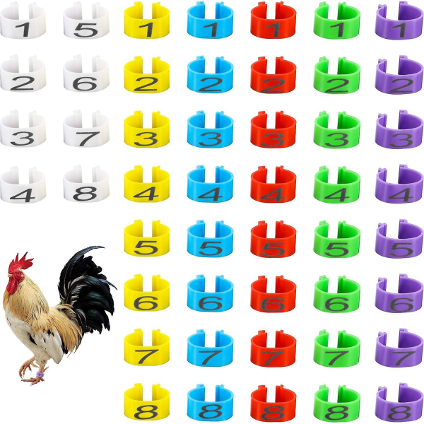 48-pack kycklingbensringar i olika färger - 16 mm klämma på benband för identifiering av fjäderfä