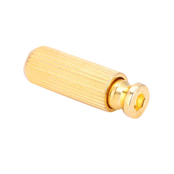2 kpl 8mm säädettävä sähkökitara Tremolo Bridge -nastat ja ankkurit Floyd Roselle (kulta)