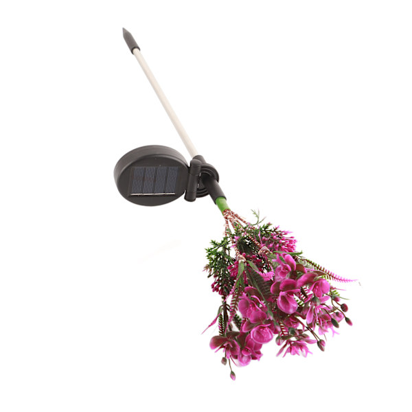 Utomhusljusutsändande Phalaenopsis markinsats dekorativa gräsmattslampor solcellsblomsterlampor