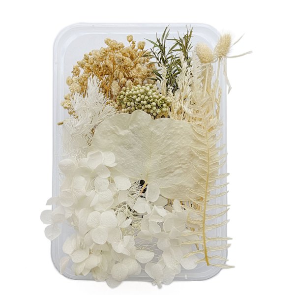 Torkade blommor Utsökt vackra miljövänliga färg torkade blommor för DIY Craft heminredning