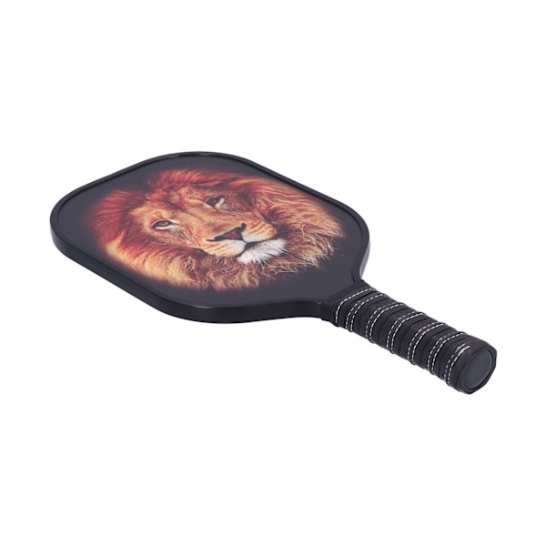 LEIJIAER Pickleball Paddle Set Carbon Fiber Face Racket med 2st boll och förvaringsväska PK-061