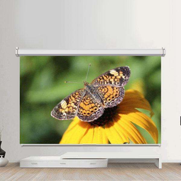 50-120 tum 16:9 HD-projektorduk 3D-film Bärbar dukgardiner 221 * 125 cm (100 tum)