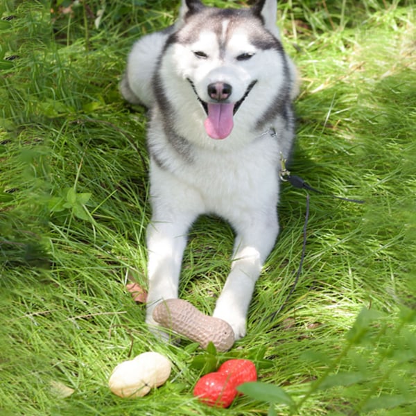 Hund Pipsleksak Tandgnisslande Bittålig Simulerad Jordnötsform Valp Tuggleksak för Teddy Kaffe Färg