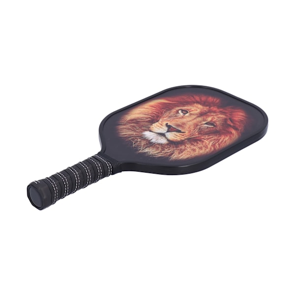 LEIJIAER Pickleball Paddle Set Carbon Fiber Face Racket med 2st boll och förvaringsväska PK-061