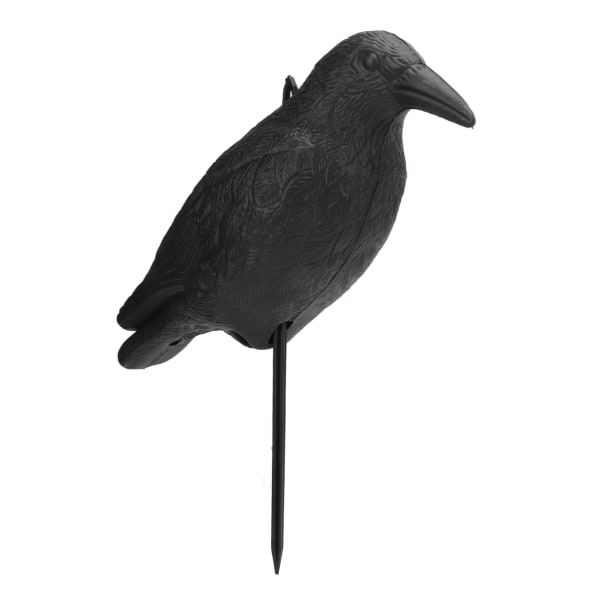 Crow Decoy PE Black Simulation Courtyard Sisustus sauvalla metsästyspelottavien lintujen houkuttelemiseksi