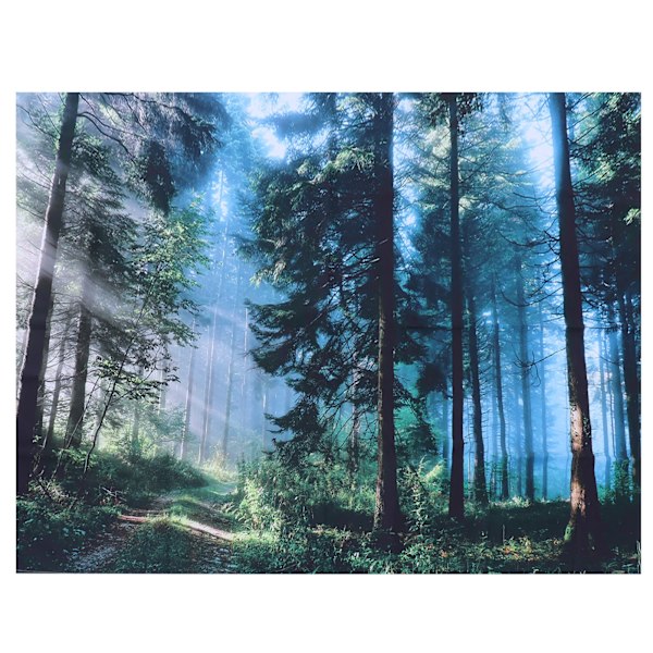 Väggbonad Landskapsmönster Hängande filt Sovrum Vardagsrum Korridor Dekoration 150x100cm