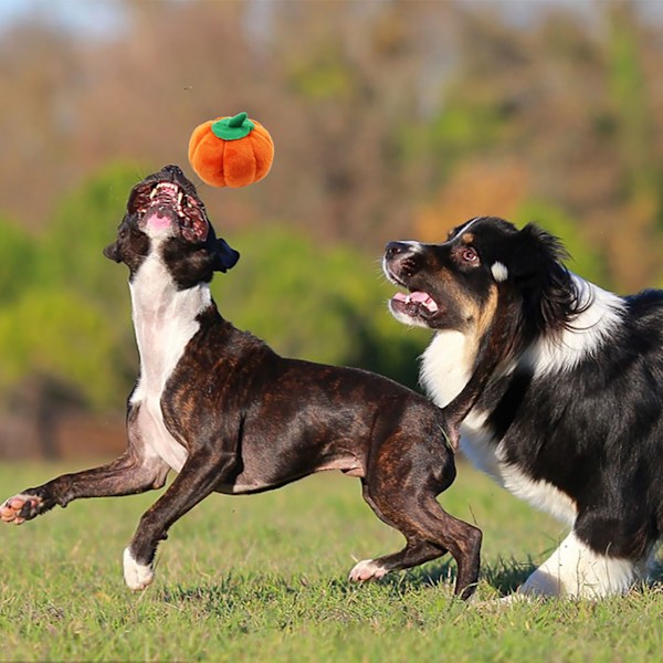 Plush Hundeleksak Söt Pumpaform Pipande Bittålig Fylld Hundeplushleksak för Tandgnissling Lindra Tråkighet