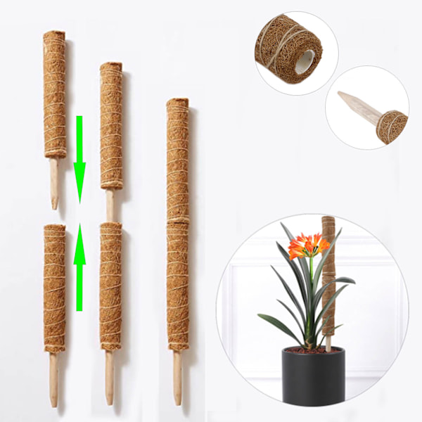 3PCS Planteklatring Vinstok Kokosnøtt Palm Stick