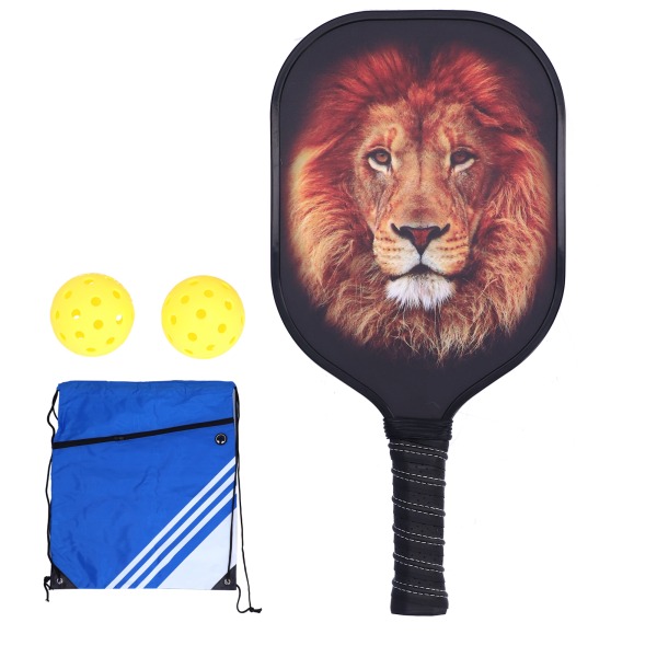 LEIJIAER Pickleball Paddle Set Carbon Fiber Face Racket med 2st boll och förvaringsväska PK-061