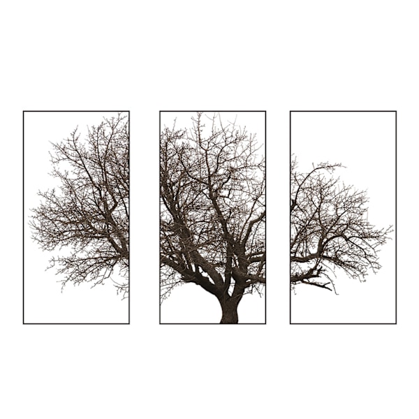 Decorative Stickers Nordic Style Gray Tree Wall Art Decals Home Background Decoration