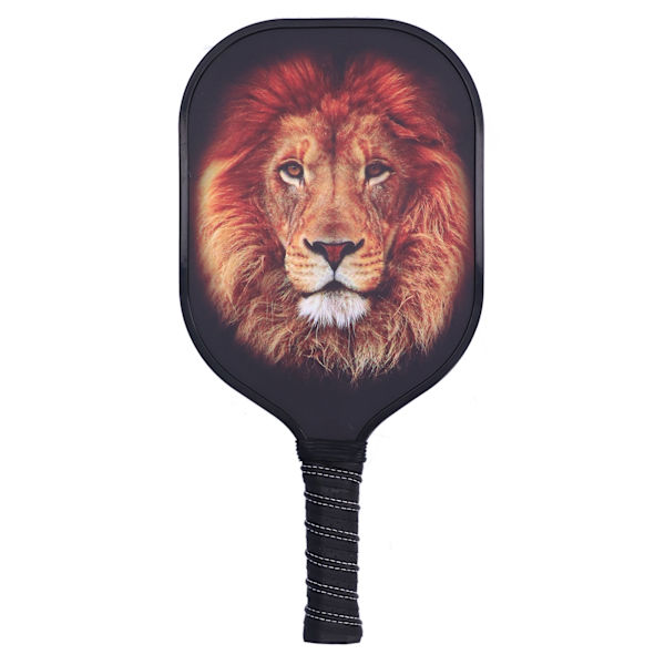 LEIJIAER Pickleball Paddle Set Carbon Fiber Face Racket med 2st boll och förvaringsväska PK-061