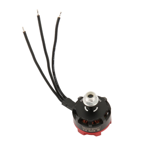 RS2205 2300KV børsteløs motor CW/CCW 3-4S fjernkontroll børsteløs motor for FPV Racing Drones FPV Multicopters Sølv