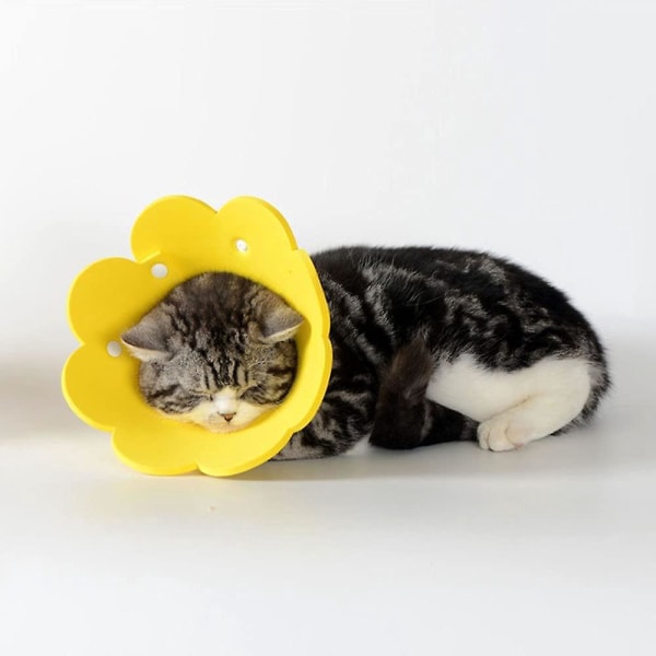 Anti-slikk justerbar kattehalsbånd – lett og beskyttende (gul, M)