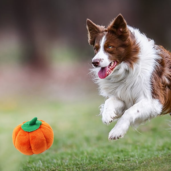 Plush Hundeleksak Söt Pumpaform Pipande Bittålig Fylld Hundeplushleksak för Tandgnissling Lindra Tråkighet