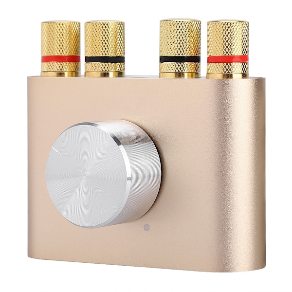 Mini Bluetooth Power Digital Förstärkare 100W Hifi Stereo Audio Player Amp EU Plug