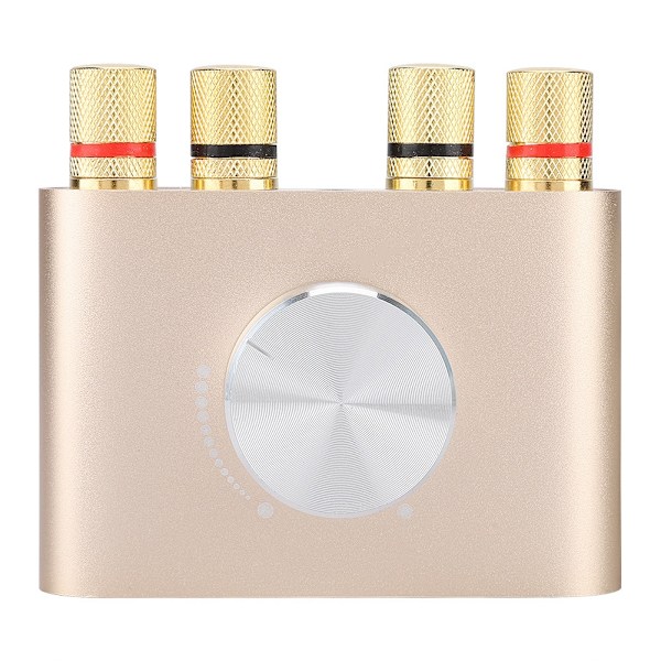 Mini Bluetooth Power Digital Förstärkare 100W Hifi Stereo Audio Player Amp EU Plug