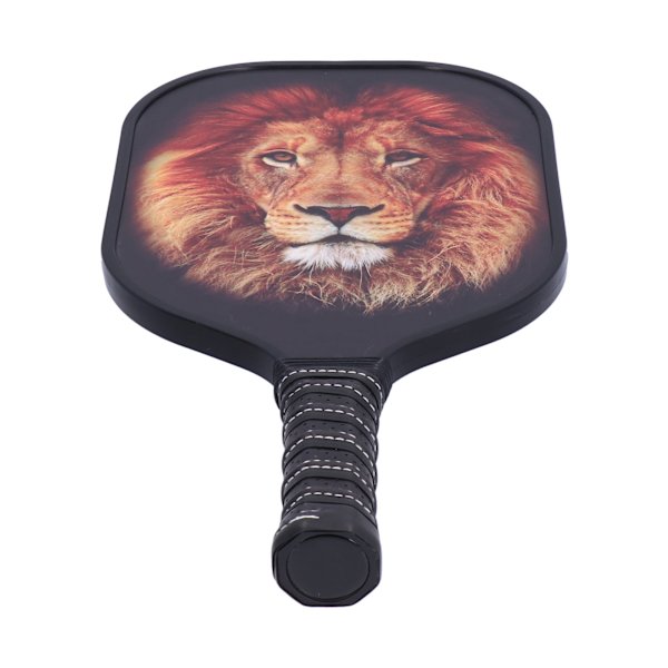 LEIJIAER Pickleball Paddle Set Carbon Fiber Face Racket med 2st boll och förvaringsväska PK-061