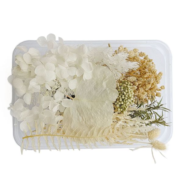 Torkade blommor Utsökt vackra miljövänliga färg torkade blommor för DIY Craft heminredning