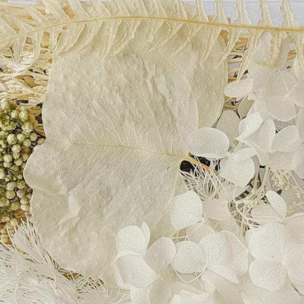 Torkade blommor Utsökt vackra miljövänliga färg torkade blommor för DIY Craft heminredning
