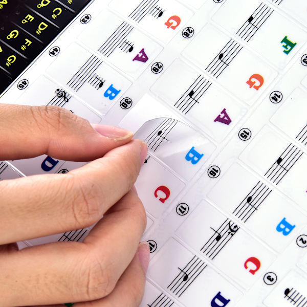 Pianokoskettimien set kosketinsoittimille Irrotettava aloittelijoille T21-M (monivärinen)