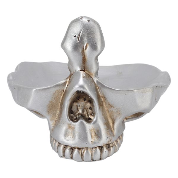 Kranium Brilleholder Dekorativ Kunstig Harpiks Statue Briller Display Holder til Hjemmet Kontor