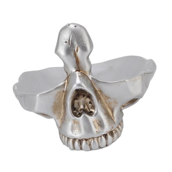 Kranium Brilleholder Dekorativ Kunstig Harpiks Statue Briller Display Holder til Hjemmet Kontor