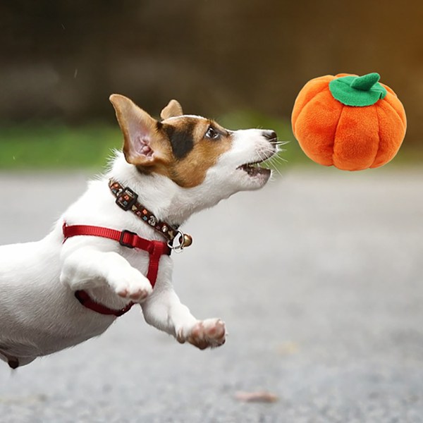 Plush Hundeleksak Söt Pumpaform Pipande Bittålig Fylld Hundeplushleksak för Tandgnissling Lindra Tråkighet