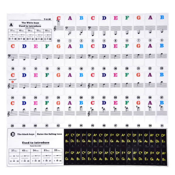 Pianotangenter Sticker Set för Keyboards Avtagbar för nybörjare T21-M (Multicolor)