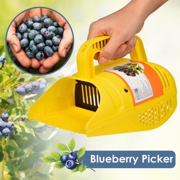 Blåbærplukker Plast Bærplukker Verktøy Blåbærriver Høster for Blåbær Tyttebær Huckleberries