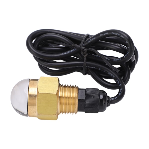 12V 12W Båt LED Undervannslys Messing NPT1/2 Marine Dreneringsplugg Lys for Yacht tilbehør