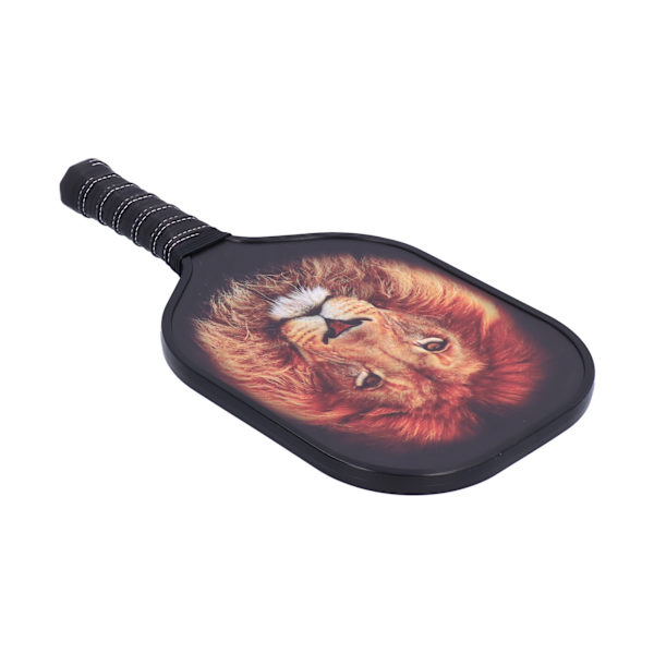 LEIJIAER Pickleball Paddle Set Carbon Fiber Face Racket med 2st boll och förvaringsväska PK-061