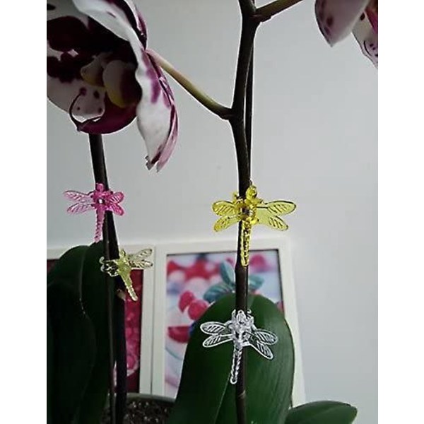 30 plantestøtteklips for klatreplanter, orkideer, staker - Dragonfly-stil