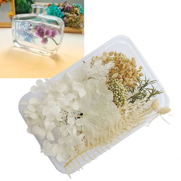 Torkade blommor Utsökt vackra miljövänliga färg torkade blommor för DIY Craft heminredning