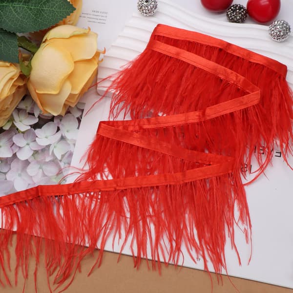10 cm röd strutsfjäderkant, 2,2 yards Red