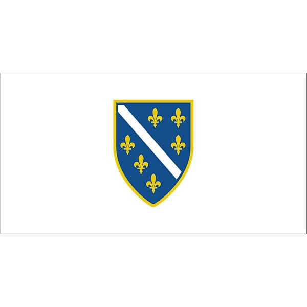 Bosniens flagga (1992-1998)