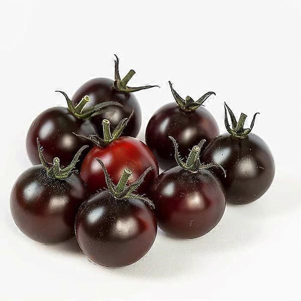 35 Sorte Kirsebærtomatfrø Semi-vilde Permakultur