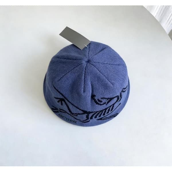 Arc'teryx Blå Stickad Mössa, Varm och Vindtät för Utomhusbruk, Mörkblå dark blue